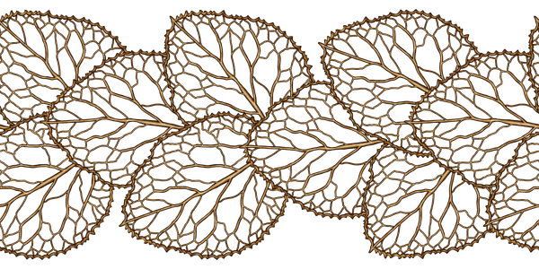 Leaf, ATProto and ActivityPub