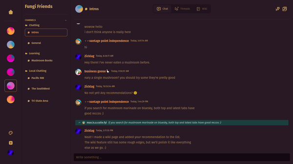 Screenshot of Roomy chat app